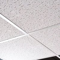 Zentia Armstrong Fission Ceiling Tiles Board Edge 600mm x 600mm - Pack of 16 | 5.76m2 - BP958M3C