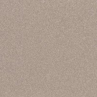 Altro Pisces Safety Flooring - Driftwood SB2004 (Priced Per m2)