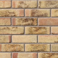 Ibstock Funton Harvest Mixture Facing Brick 65mm | Pack of 500